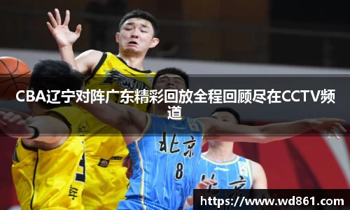 CBA辽宁对阵广东精彩回放全程回顾尽在CCTV频道